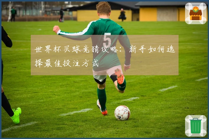世界杯买球竞猜攻略：新手如何选择最佳投注方式