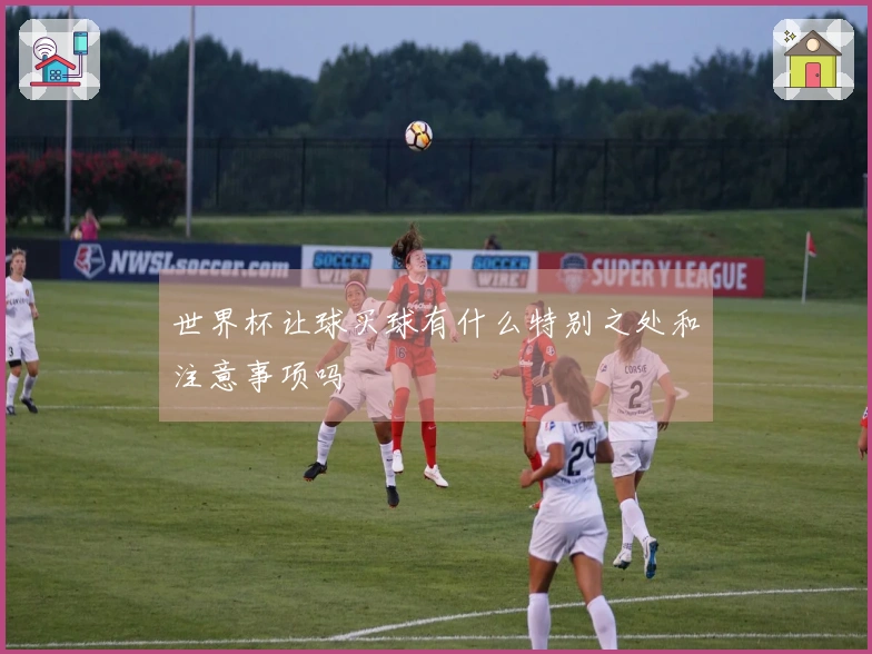 世界杯让球买球有什么特别之处和注意事项吗