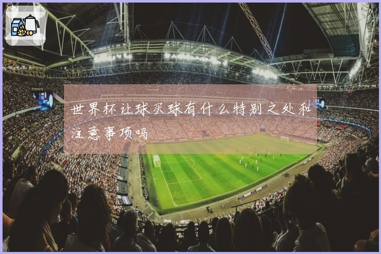 世界杯让球买球有什么特别之处和注意事项吗