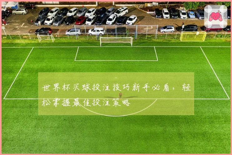 世界杯买球投注技巧新手必看，轻松掌握最佳投注策略