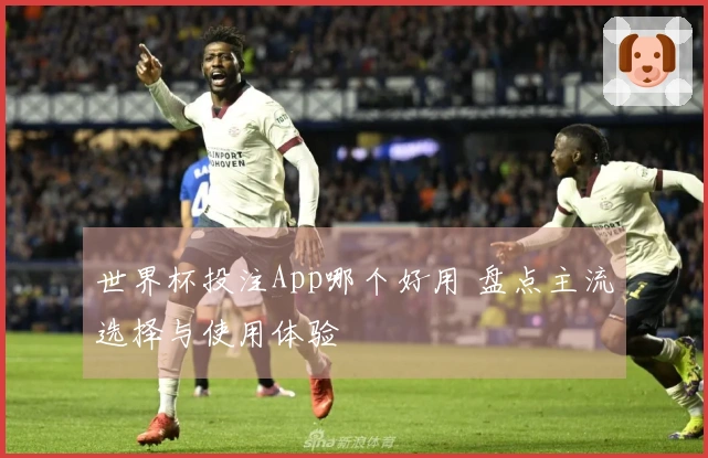 世界杯投注App哪个好用 盘点主流选择与使用体验